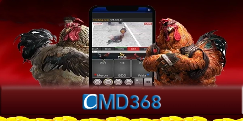 Tương lai của đá gà CMD368